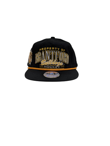 Dynasty Property of Brantford Bulldogs