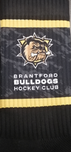 Adult Socks - Brantford Bulldogs Hockey Club