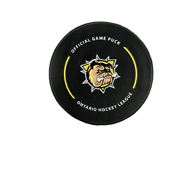 Official Game Puck 25/26